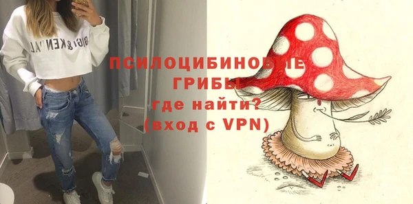 таблы Краснослободск