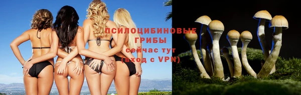 молекула духа Красноперекопск