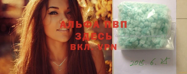 сатива Корсаков