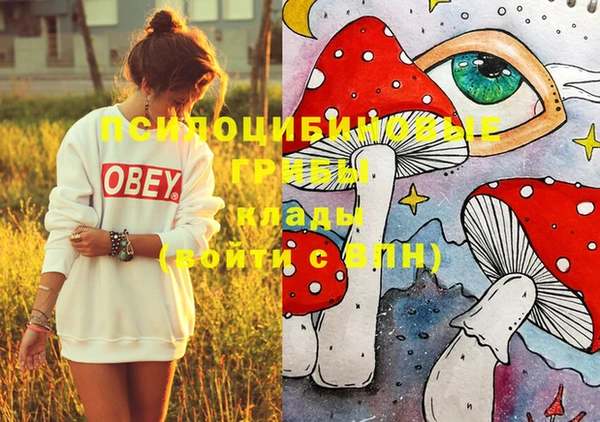первитин Коряжма